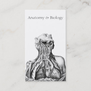 Carte De Visite Illustration anatomique Sciences Médicales