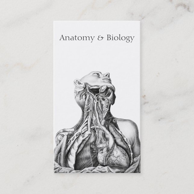 Carte De Visite Illustration anatomique Sciences Médicales (Devant)