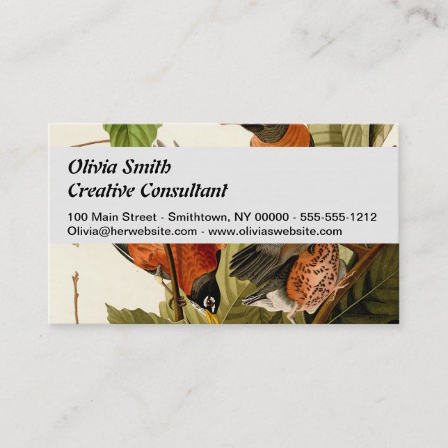 Carte De Visite Illustration Audubon American Robin Wildlife Bird (Devant)