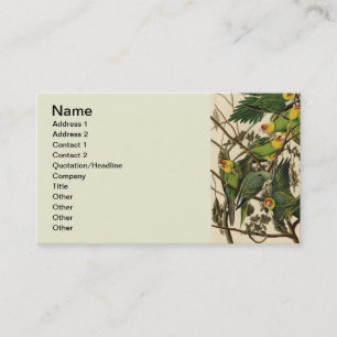 Carte De Visite Illustration Audubon Carolina Parrot Bird