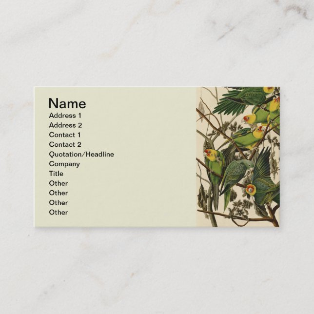 Carte De Visite Illustration Audubon Carolina Parrot Bird (Devant)