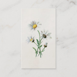 Carte De Visite Illustration de fleur sauvage de marguerites du