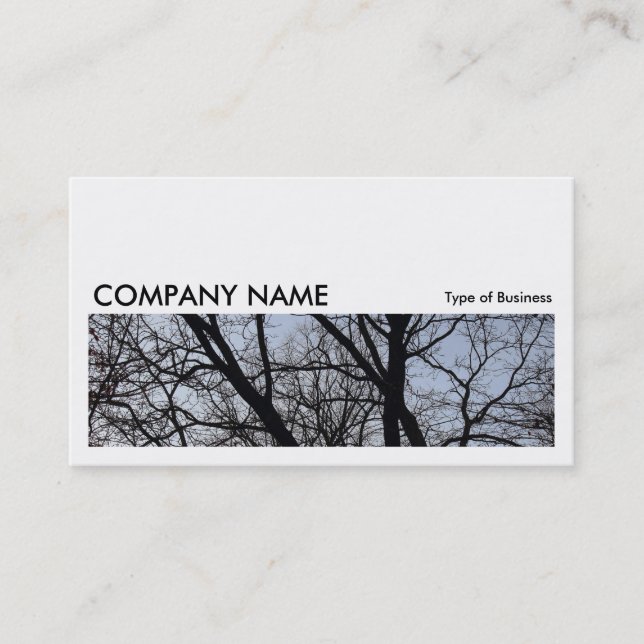 Carte De Visite Image longue 0161 - Branches en silhouette (Devant)