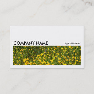 Carte De Visite Image longue 0213 - Lit de marguerites jaunes