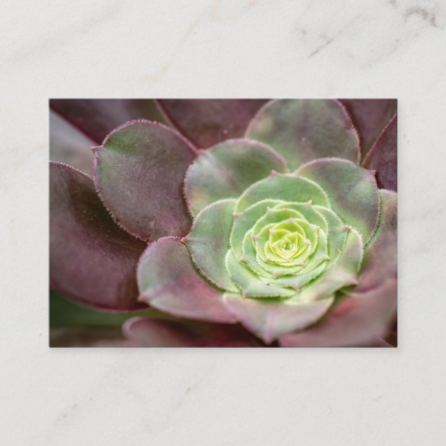 Carte De Visite Impression Cactus | Une Fleur de cactus du désert (Devant)