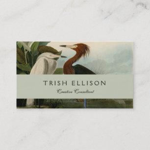 Carte De Visite Impression de Héron Pourpré d'Audubon : Art d'Oise