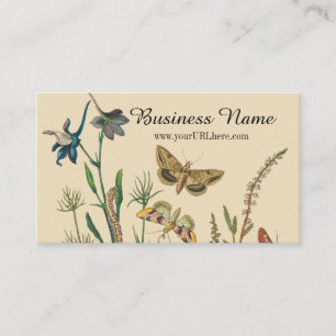 Carte De Visite Insectes vintages, Papillons, Caterpillar