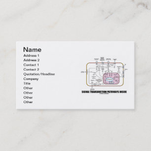 Carte De Visite Intérieur de voies de transduction de signal