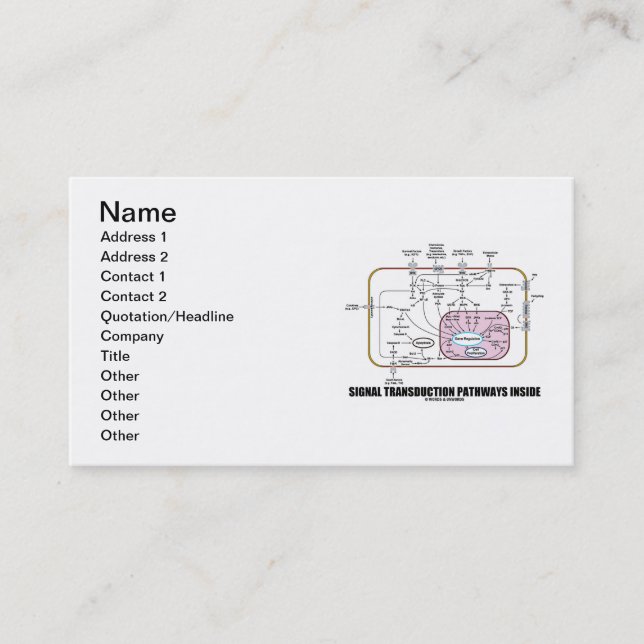 Carte De Visite Intérieur de voies de transduction de signal (Devant)
