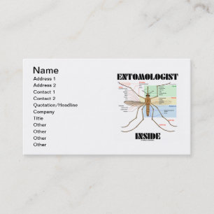 Carte De Visite Intérieur d'entomologiste (anatomie de moustique)
