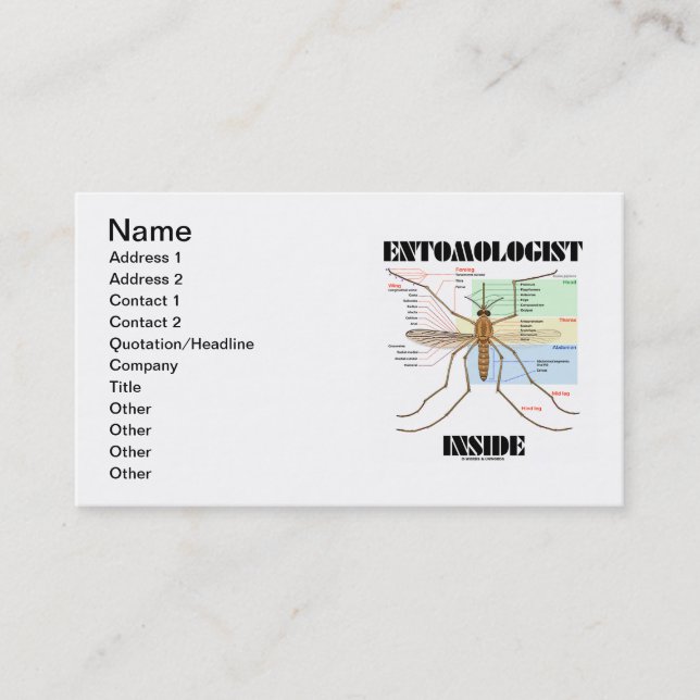 Carte De Visite Intérieur d'entomologiste (anatomie de moustique) (Devant)