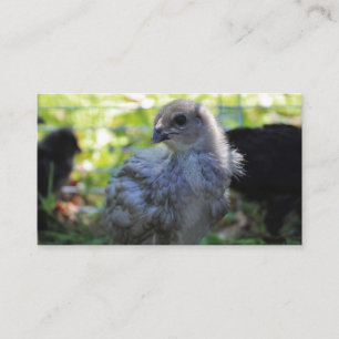 Carte De Visite Jacinthe des bois