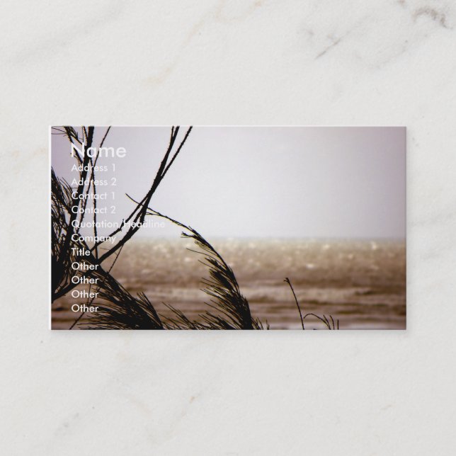 Carte De Visite J'ai entendu la mer miroitante de vent (Devant)