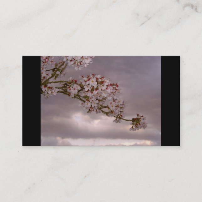 Carte de visite japonais (Devant)