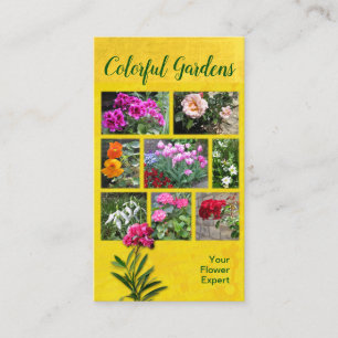 Carte De Visite Jardins colorés