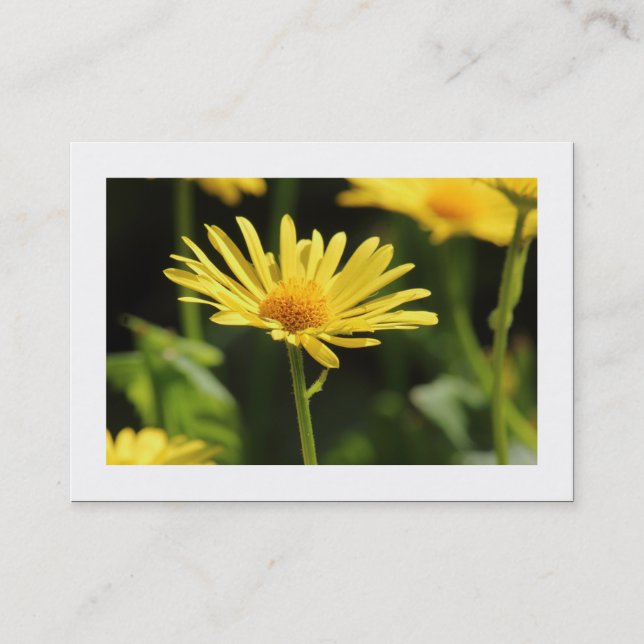 Carte De Visite Jaune (Bordé) (Devant)
