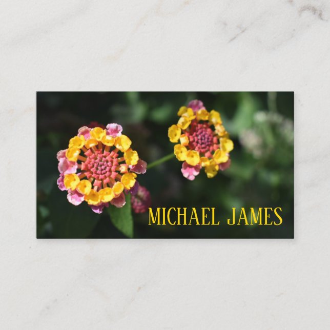 Carte De Visite Jaune rose Lantana Fleur Floral Jardin Photo (Devant)
