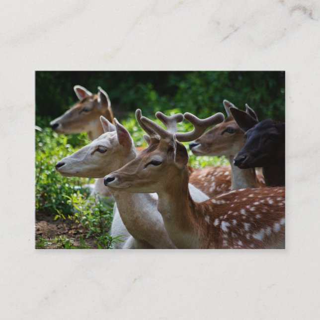 Carte De Visite J'entends Mini Impression (Devant)