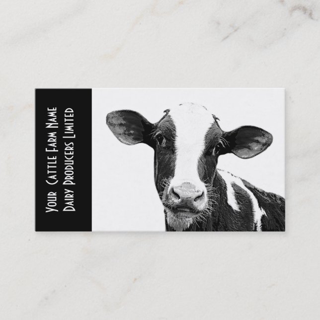Carte De Visite Jeune veau Holstein ou veau laitier (Devant)