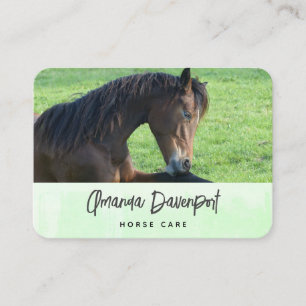 Carte De Visite Joli Cheval Brown allongé dans l'herbe