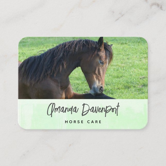 Carte De Visite Joli Cheval Brown allongé dans l'herbe (Devant)
