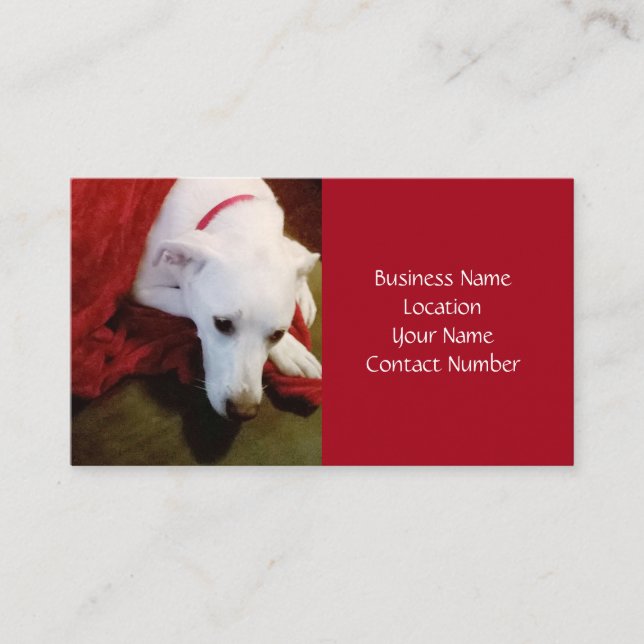 Carte De Visite Joli Chien Chien Rouge Blanc Neige Vacances (Devant)