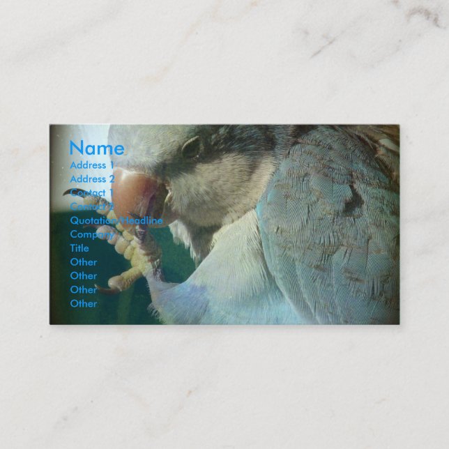 Carte De Visite Joli oiseau (Devant)