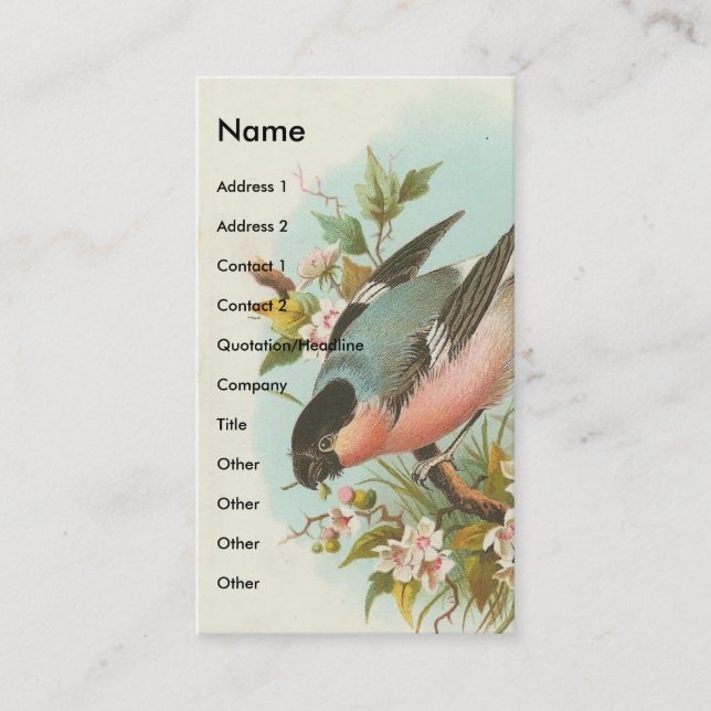 Carte De Visite Joli oiseau Vintage (Devant)