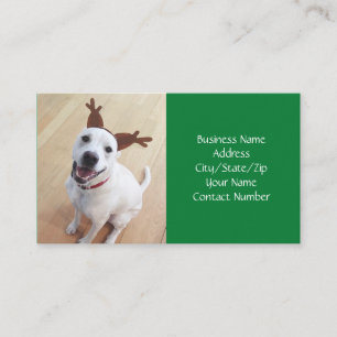 Carte De Visite Joli sourire blanc rennes chien vert Noël