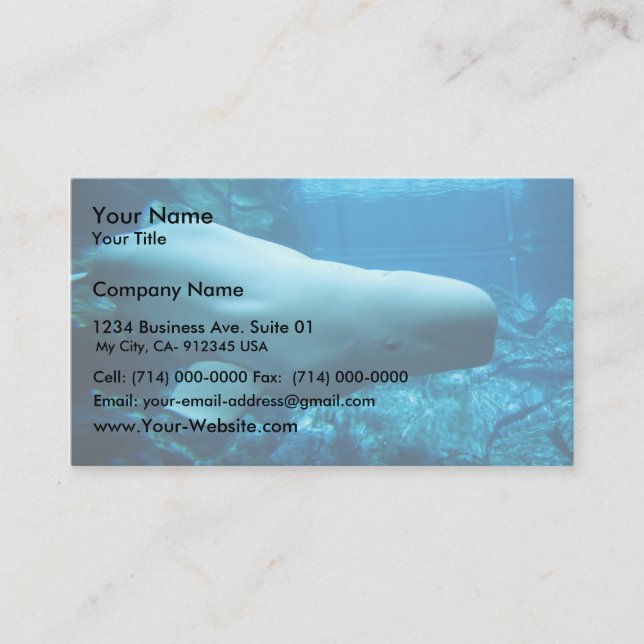 Carte De Visite Jolie Baleine Beluga À L'Aquarium De Géorgie (Devant)