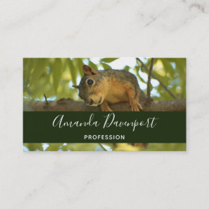 Carte De Visite Jolie Curious écureuil Nature Photographie