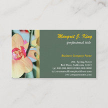 Jolie fleur d'orchidée jaune vert botanique