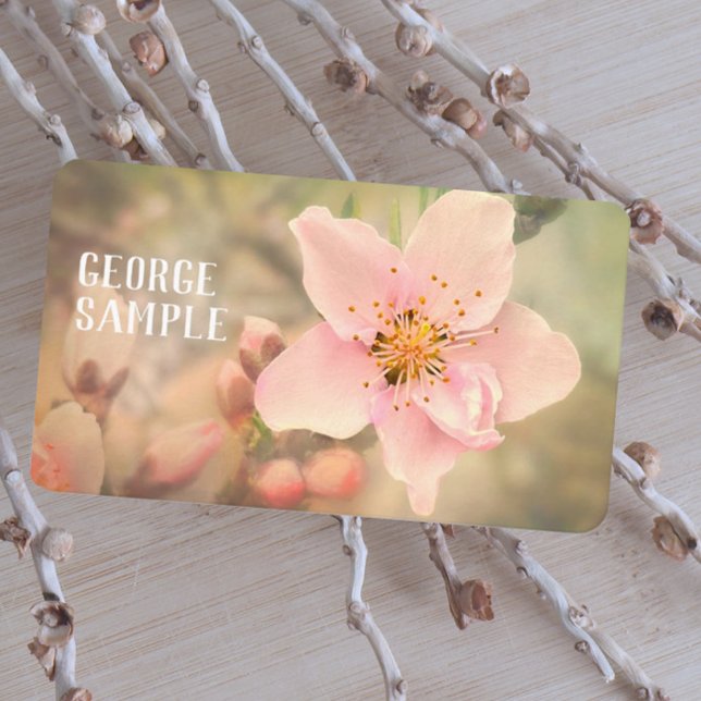 Carte De Visite jolie photo de fleur rose pâle (Créateur téléchargé)