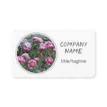 jolies fleurs tulipes roses sur blanc