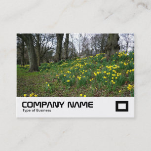 Carte De Visite Jonquilles Bute Park, Cardiff