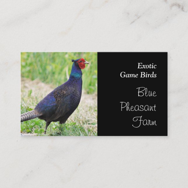 Carte De Visite Jouet de faisan bleu (Devant)