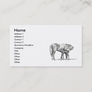 Carte De Visite Jument et poulain