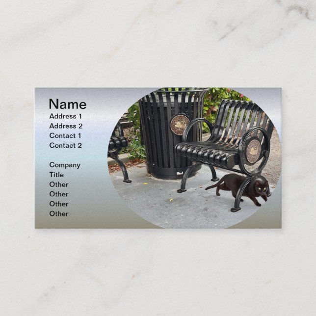 Carte De Visite Kitty dans le parc (Devant)