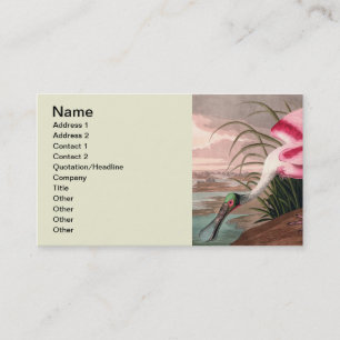 Carte De Visite La faune des oiseaux d'Audubon de Spoonbill Roseat