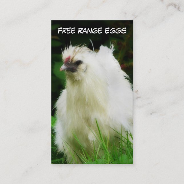 Carte De Visite La gamme libre Eggs la couche ou l'oiseau de (Devant)