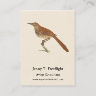 Carte De Visite La Grive Brown ou le Trasher Brown, New York Birds