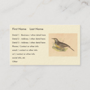 Carte De Visite La larve de l'Est (Stourne ella magna) NY Birds