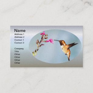 Carte De Visite La nature des colibris