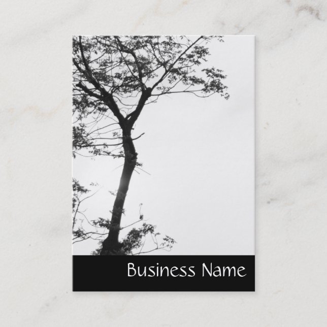 Carte De Visite La photographie de Zen Tree Balance l (Devant)