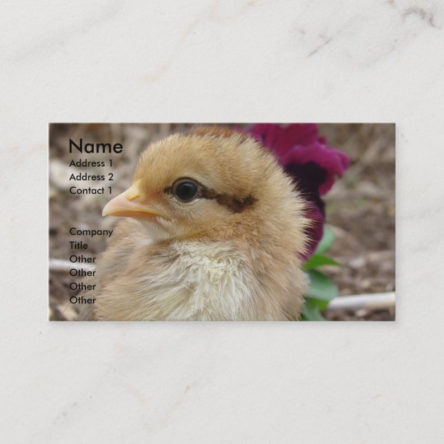 Carte De Visite La poule dans le jardin (Devant)