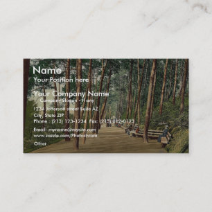 Carte De Visite La promenade d'Invalids, photo de cru de