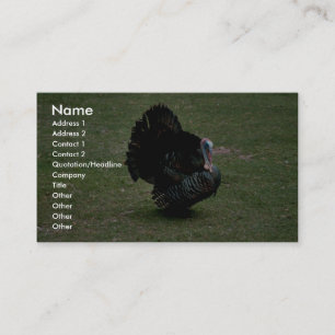 Carte De Visite La Turquie sauvage orientale