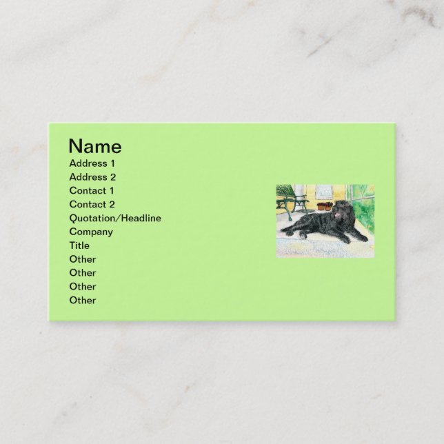 Carte De Visite Labradoodle noir (Devant)