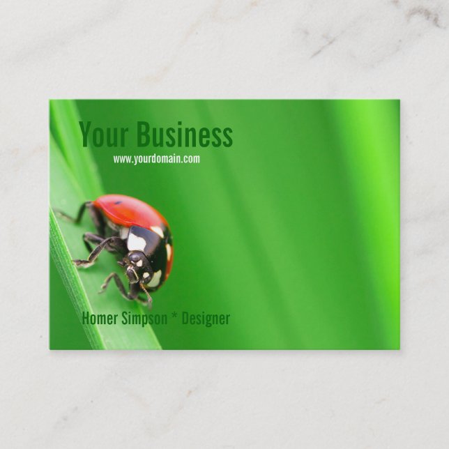 Carte De Visite Ladybird (Devant)