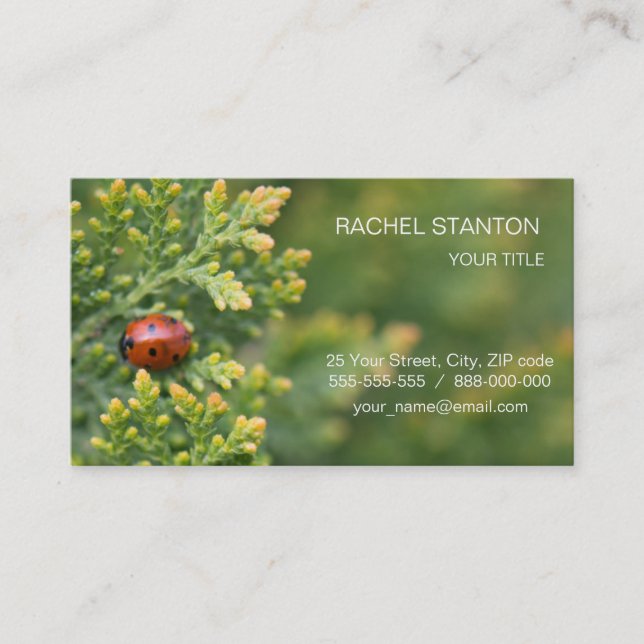 Carte De Visite Ladybug (Devant)
